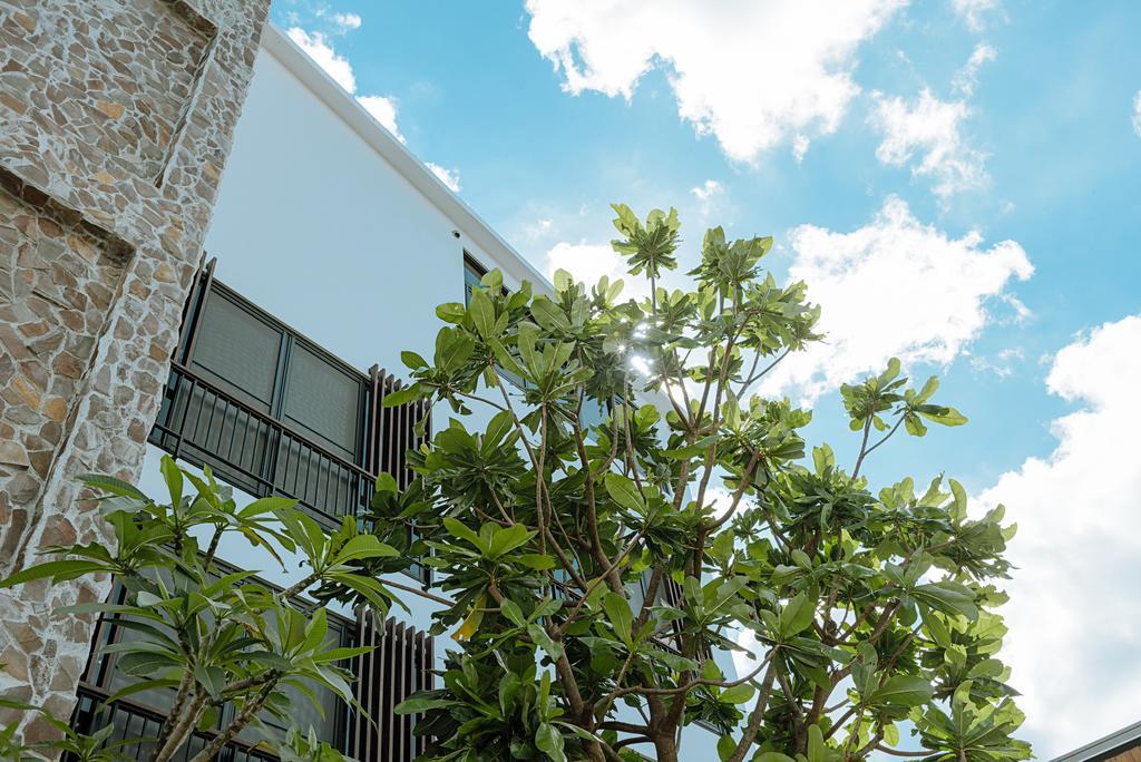 Chillax Inn B&B Hằng Xuân Cổ Trấn Ngoại thất bức ảnh